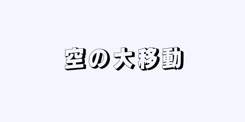 空の大移動