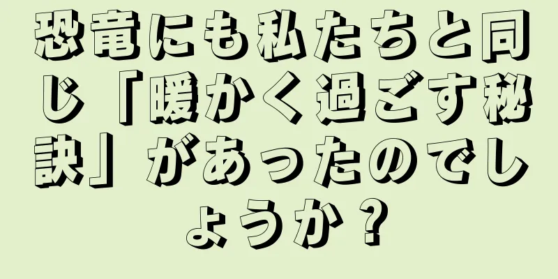 恐竜にも私たちと同じ「暖かく過ごす秘訣」があったのでしょうか？