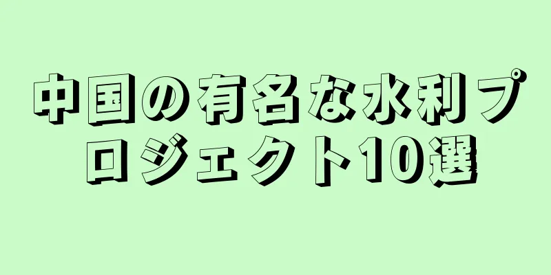 中国の有名な水利プロジェクト10選