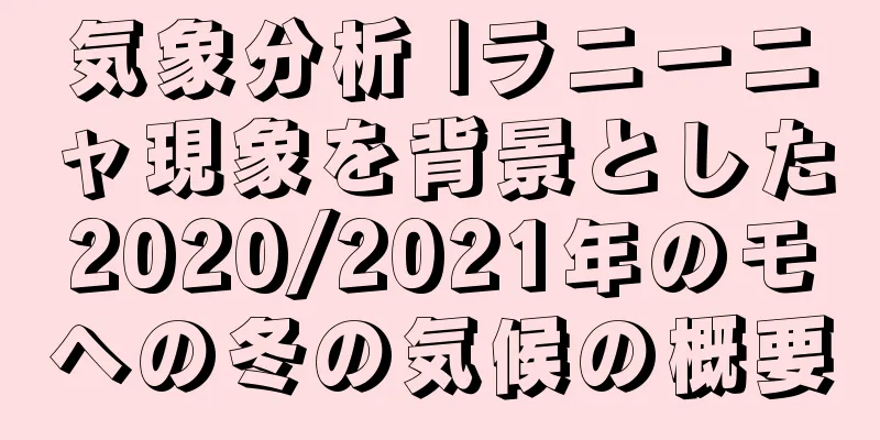 気象分析 |ラニーニャ現象を背景とした2020/2021年のモヘの冬の気候の概要
