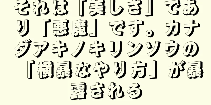 それは「美しさ」であり「悪魔」です。カナダアキノキリンソウの「横暴なやり方」が暴露される