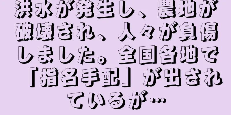 洪水が発生し、農地が破壊され、人々が負傷しました。全国各地で「指名手配」が出されているが…