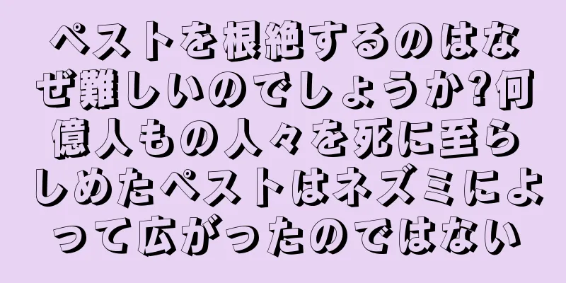 ペストを根絶するのはなぜ難しいのでしょうか?何億人もの人々を死に至らしめたペストはネズミによって広がったのではない