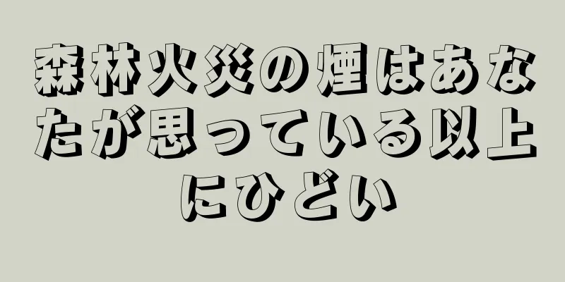 森林火災の煙はあなたが思っている以上にひどい