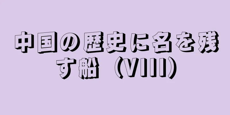 中国の歴史に名を残す船（VIII）