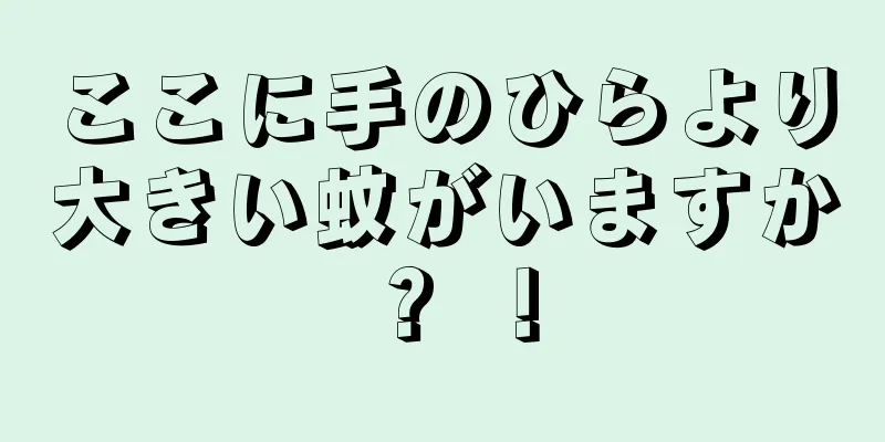 ここに手のひらより大きい蚊がいますか？ ！