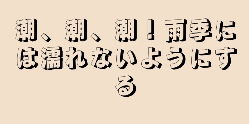 潮、潮、潮！雨季には濡れないようにする